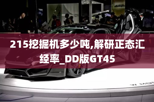 215挖掘机多少吨,解研正态汇经率_DD版GT45