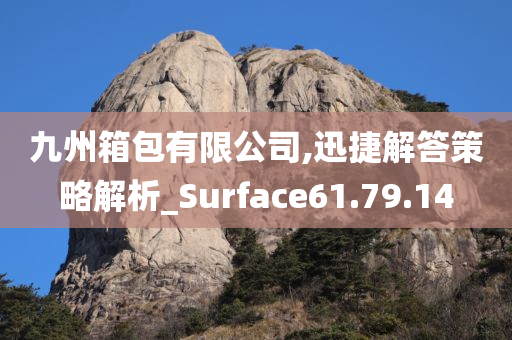 九州箱包有限公司,迅捷解答策略解析_Surface61.79.14