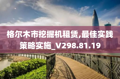 格尔木市挖掘机租赁,最佳实践策略实施_V298.81.19