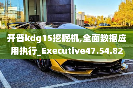 开普kdg15挖掘机,全面数据应用执行_Executive47.54.82