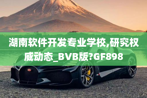 湖南软件开发专业学校,研究权威动态_BVB版?GF898