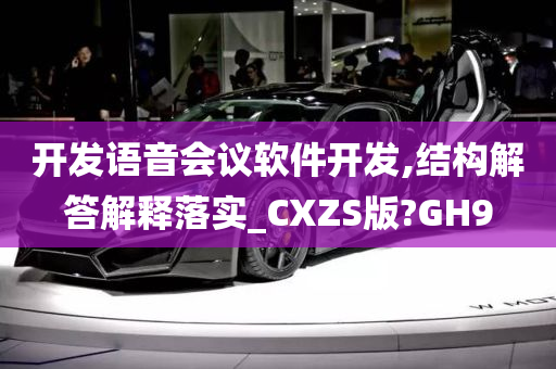 开发语音会议软件开发,结构解答解释落实_CXZS版?GH9