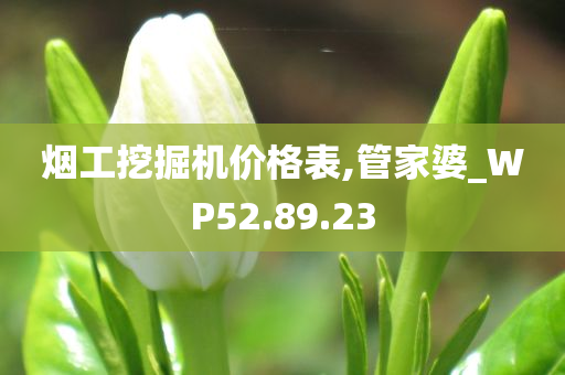 烟工挖掘机价格表,管家婆_WP52.89.23