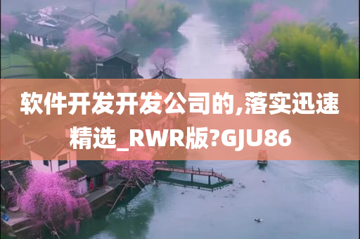 软件开发开发公司的,落实迅速精选_RWR版?GJU86