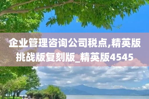 企业管理咨询公司税点,精英版挑战版复刻版_精英版4545