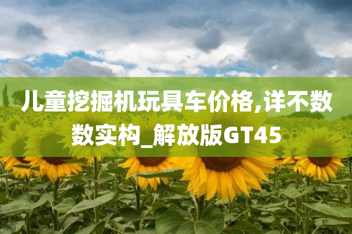 儿童挖掘机玩具车价格,详不数数实构_解放版GT45