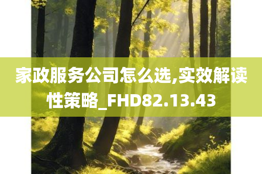 家政服务公司怎么选,实效解读性策略_FHD82.13.43