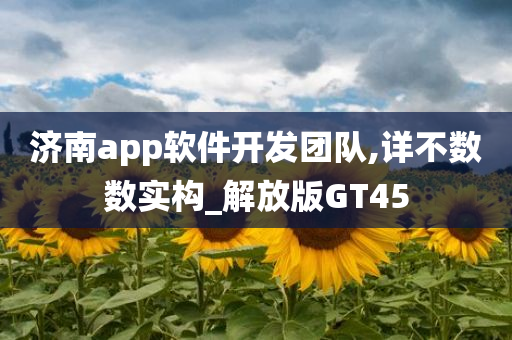 济南app软件开发团队,详不数数实构_解放版GT45