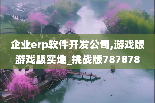 企业erp软件开发公司,游戏版游戏版实地_挑战版787878