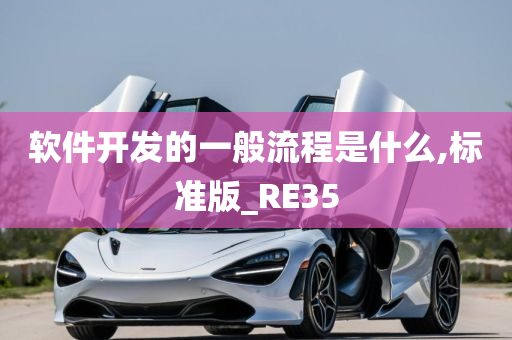 软件开发的一般流程是什么,标准版_RE35