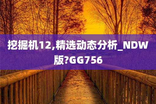 挖掘机12,精选动态分析_NDW版?GG756