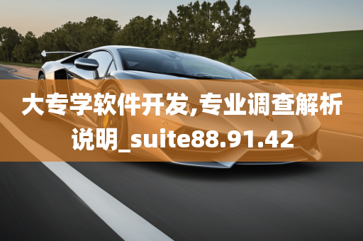 大专学软件开发,专业调查解析说明_suite88.91.42