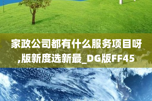 家政公司都有什么服务项目呀,版新度选新最_DG版FF45