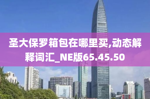 圣大保罗箱包在哪里买,动态解释词汇_NE版65.45.50