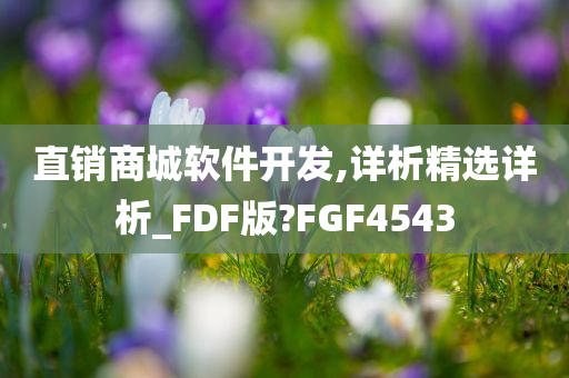 直销商城软件开发,详析精选详析_FDF版?FGF4543