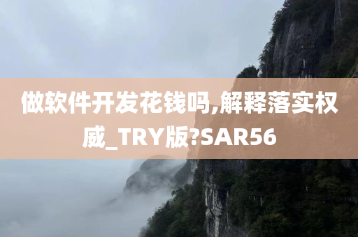 做软件开发花钱吗,解释落实权威_TRY版?SAR56