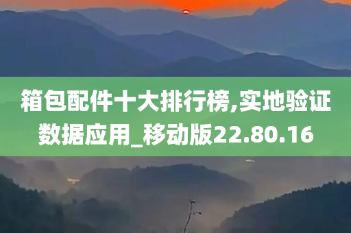 箱包配件十大排行榜,实地验证数据应用_移动版22.80.16