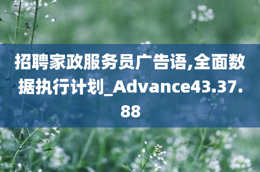 招聘家政服务员广告语,全面数据执行计划_Advance43.37.88