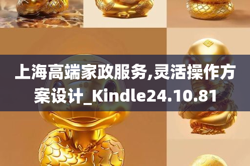 上海高端家政服务,灵活操作方案设计_Kindle24.10.81