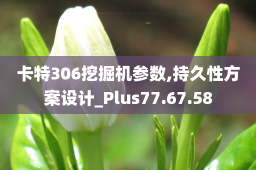 卡特306挖掘机参数,持久性方案设计_Plus77.67.58