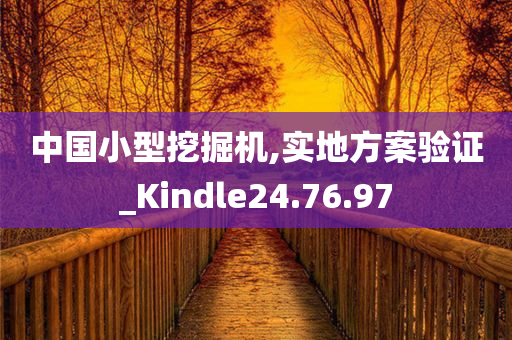 中国小型挖掘机,实地方案验证_Kindle24.76.97