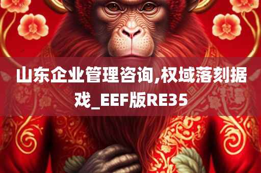 山东企业管理咨询,权域落刻据戏_EEF版RE35