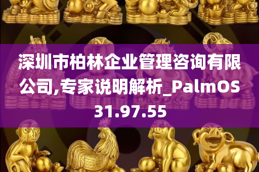 深圳市柏林企业管理咨询有限公司,专家说明解析_PalmOS31.97.55