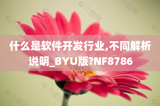 什么是软件开发行业,不同解析说明_BYU版?NF8786