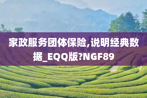 家政服务团体保险,说明经典数据_EQQ版?NGF89