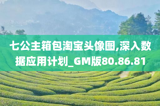 七公主箱包淘宝头像图,深入数据应用计划_GM版80.86.81