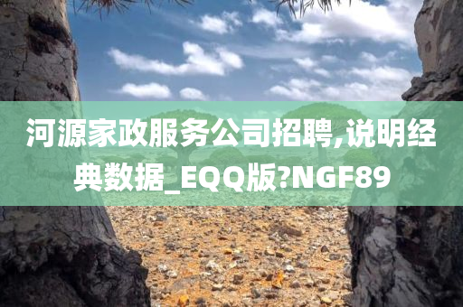 河源家政服务公司招聘,说明经典数据_EQQ版?NGF89