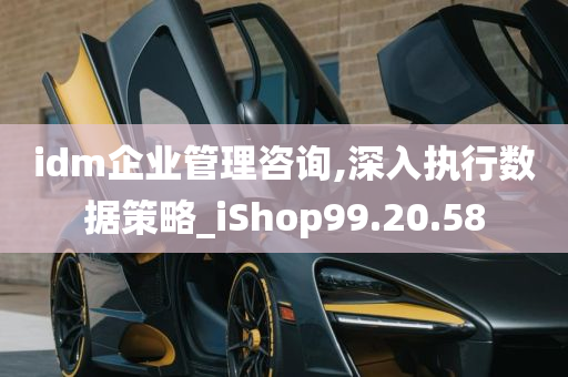 idm企业管理咨询,深入执行数据策略_iShop99.20.58