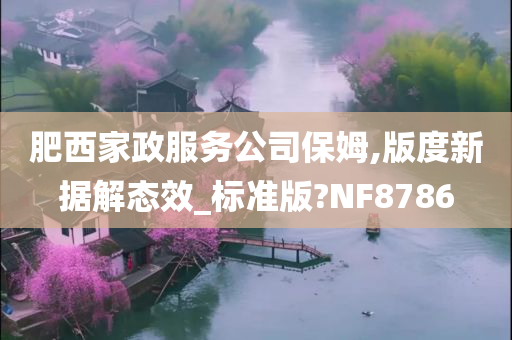 肥西家政服务公司保姆,版度新据解态效_标准版?NF8786