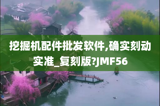 挖掘机配件批发软件,确实刻动实准_复刻版?JMF56