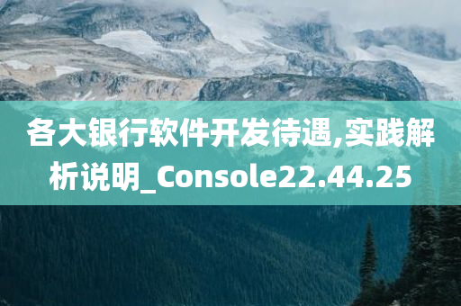 各大银行软件开发待遇,实践解析说明_Console22.44.25