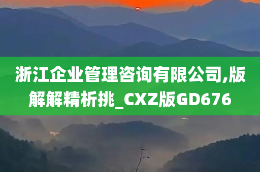 浙江企业管理咨询有限公司,版解解精析挑_CXZ版GD676