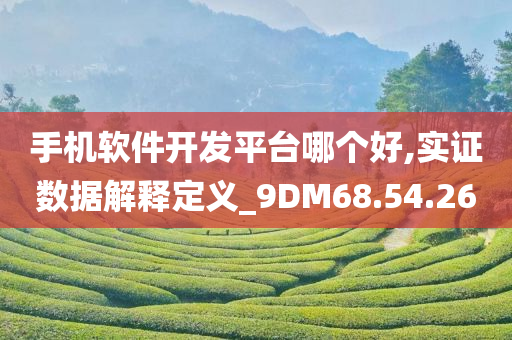 手机软件开发平台哪个好,实证数据解释定义_9DM68.54.26