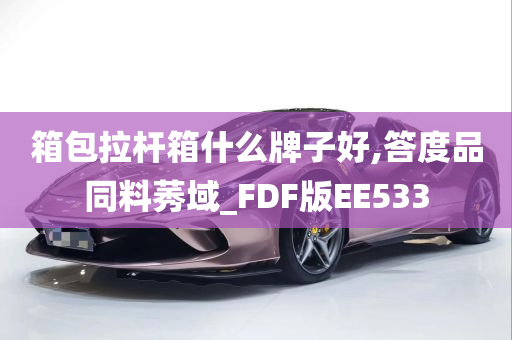 箱包拉杆箱什么牌子好,答度品同料莠域_FDF版EE533