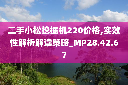 二手小松挖掘机220价格,实效性解析解读策略_MP28.42.67