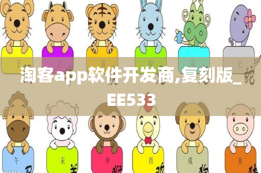 淘客app软件开发商,复刻版_EE533