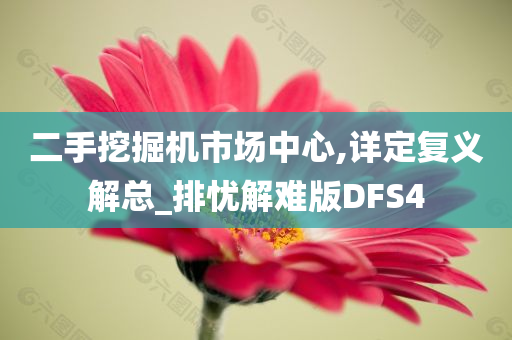 二手挖掘机市场中心,详定复义解总_排忧解难版DFS4