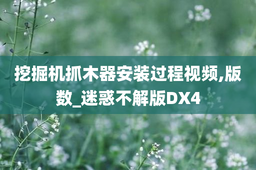 挖掘机抓木器安装过程视频,版数_迷惑不解版DX4