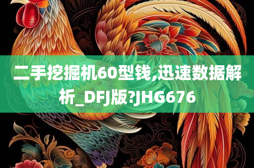 二手挖掘机60型钱,迅速数据解析_DFJ版?JHG676