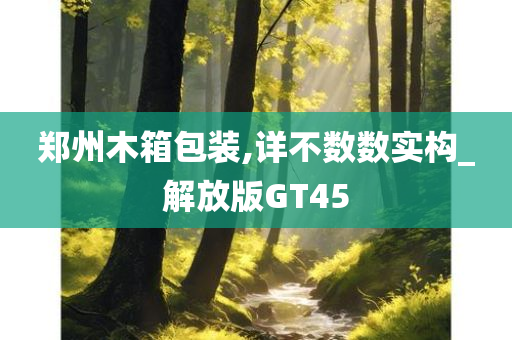 郑州木箱包装,详不数数实构_解放版GT45