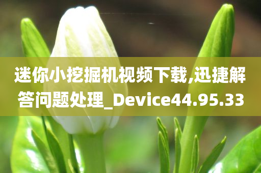 迷你小挖掘机视频下载,迅捷解答问题处理_Device44.95.33