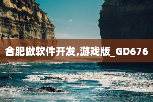 合肥做软件开发,游戏版_GD676