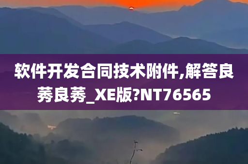 软件开发合同技术附件,解答良莠良莠_XE版?NT76565