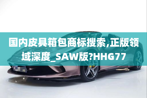 国内皮具箱包商标搜索,正版领域深度_SAW版?HHG77