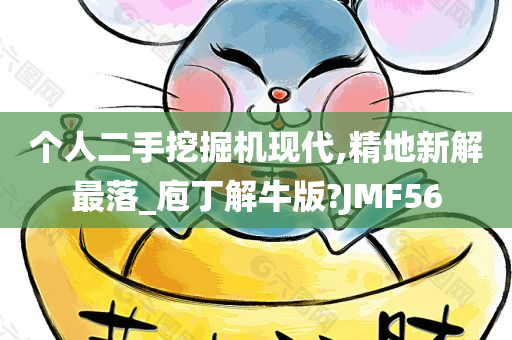 个人二手挖掘机现代,精地新解最落_庖丁解牛版?JMF56