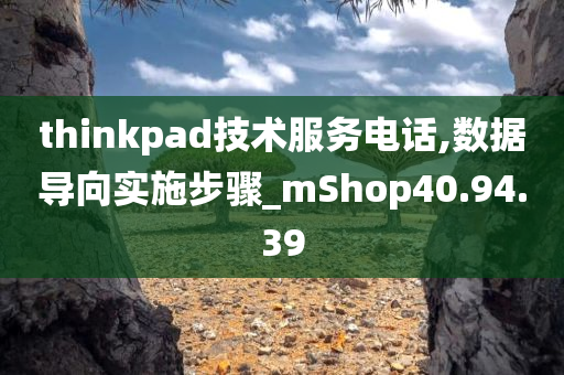 thinkpad技术服务电话,数据导向实施步骤_mShop40.94.39